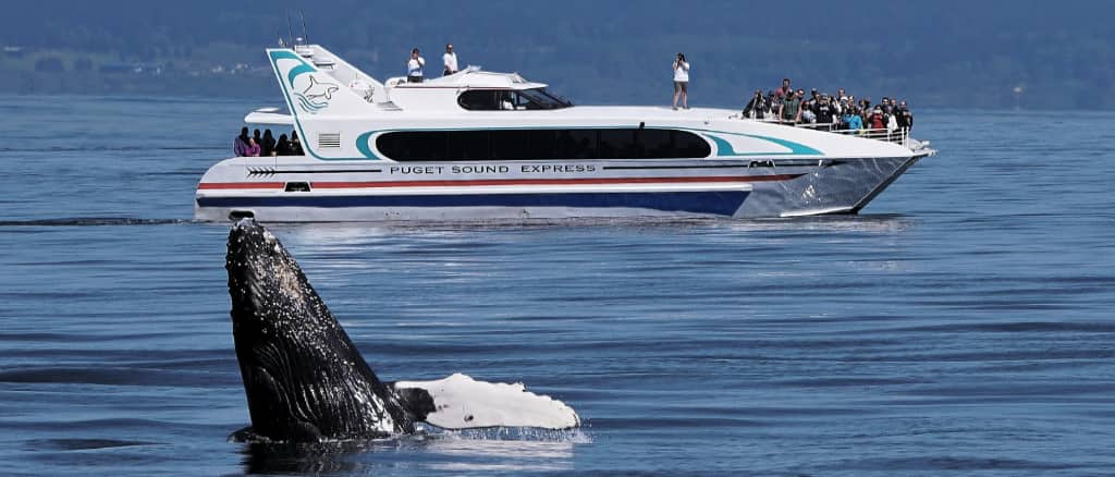 Now Booking: Seattle (Edmonds) All-Day Tour!